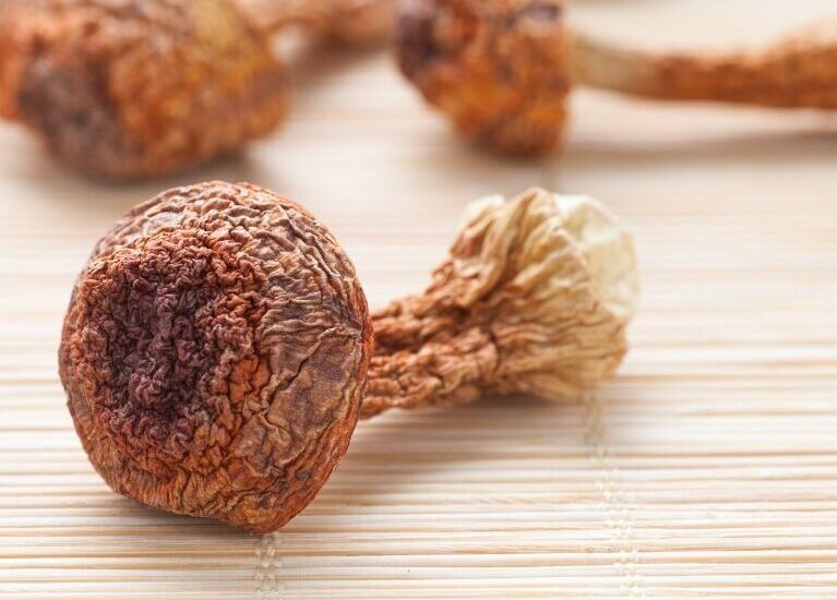 Agaricus Blazei Murill