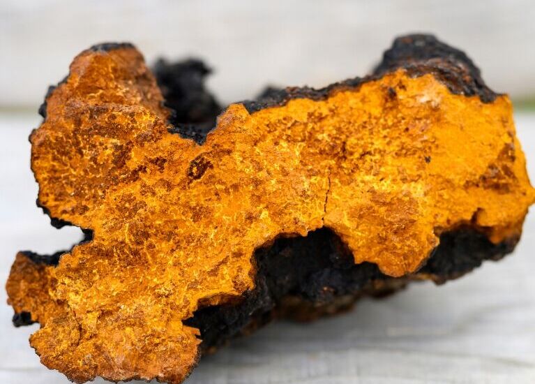 Chaga