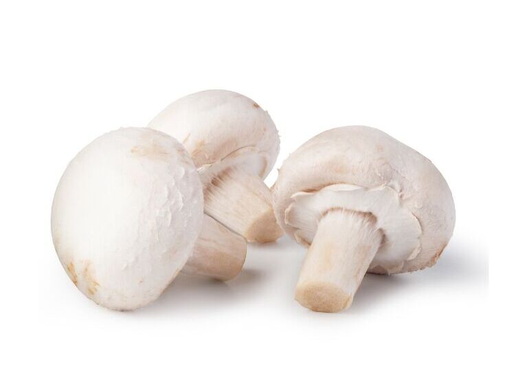 Champignon